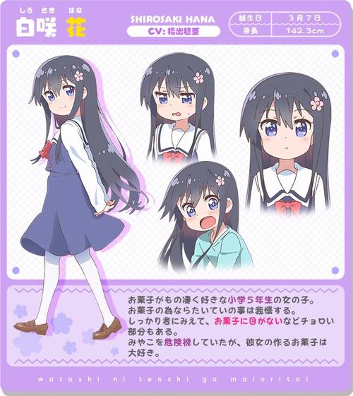 白咲花美化包2023版安装