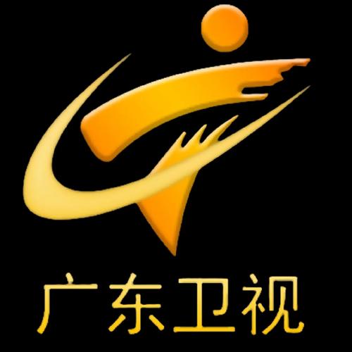 完美卫视2024最新版本介绍