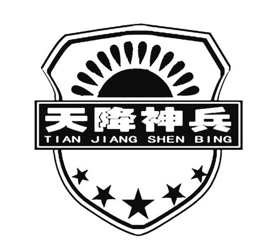 天降神兵的意思