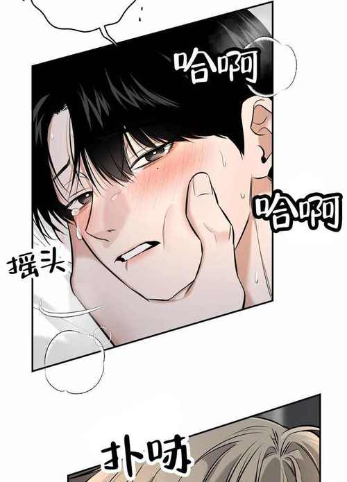 贝勒漫画在线阅读下拉式