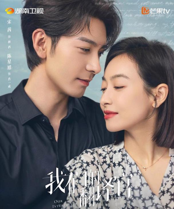 我们的翻译官电视剧免费观看全集
