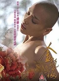 《金花瓶楷梅花2》完整版视频截图