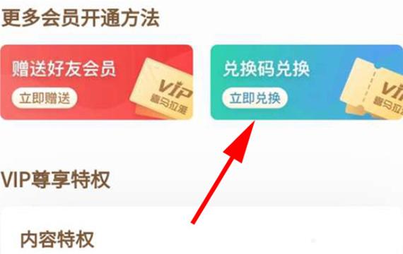 51动漫vip终身卡兑换码