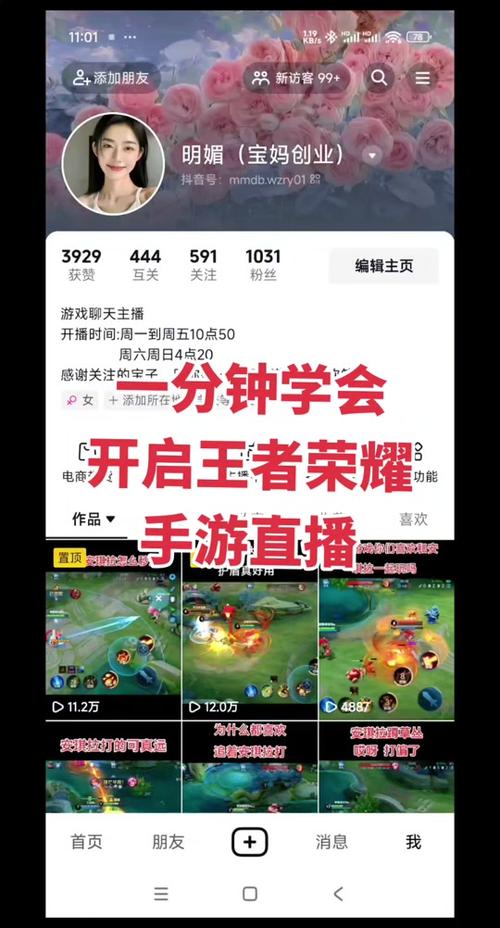 王者修改帧率软件