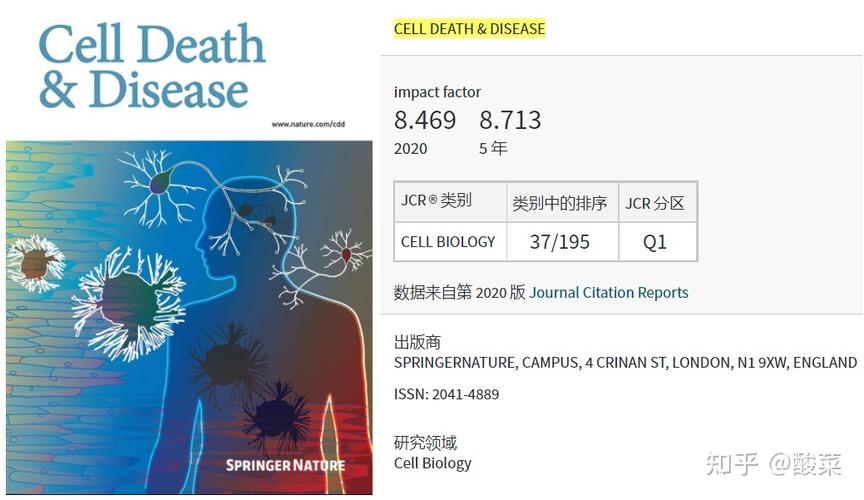 cell death differ