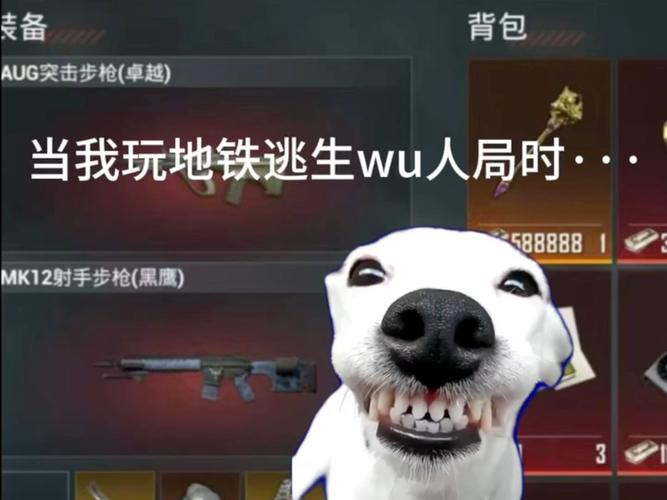 地铁逃生卡无人局软件