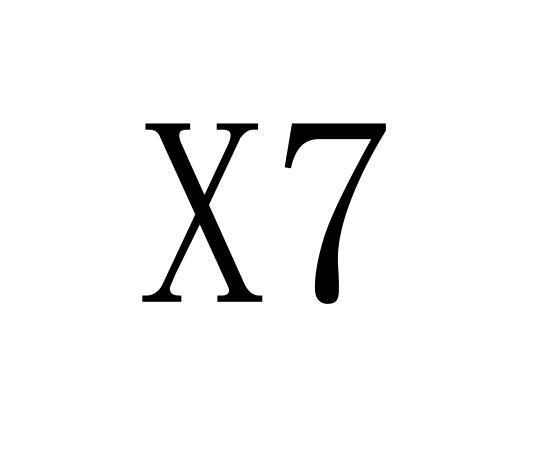 x7x7x7任意噪2028