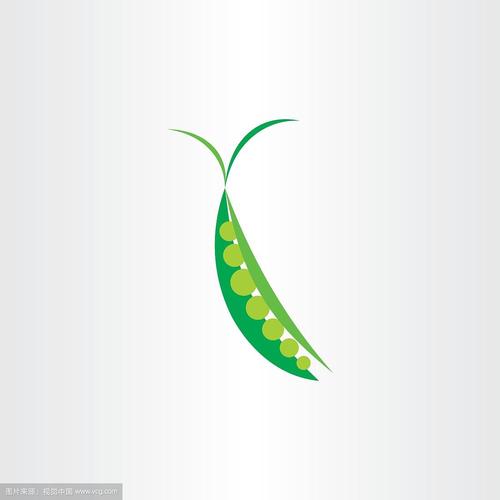 豌豆和平公益端口免费安装