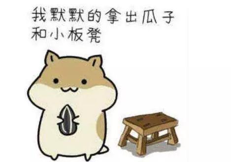 搬好小板凳乖巧表情包