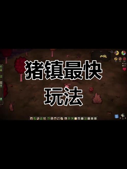 饥荒怎么去猪镇