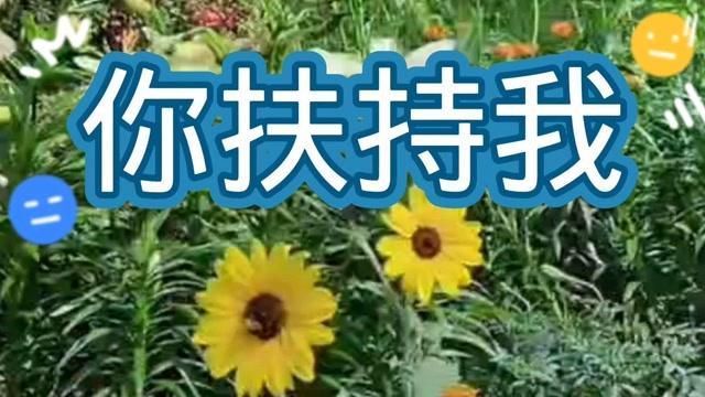 你扶持我