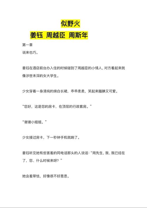 似野火大结局25章