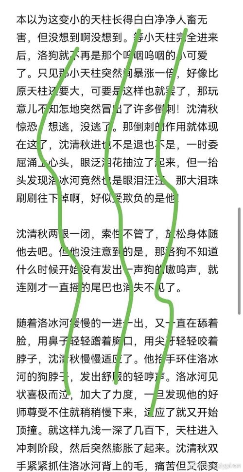 沈清秋洛冰河第一次车原文