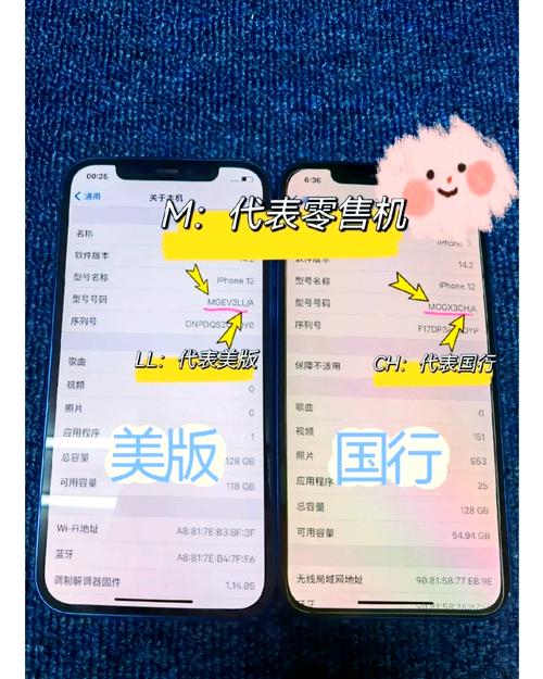 本土版和国际版的区别