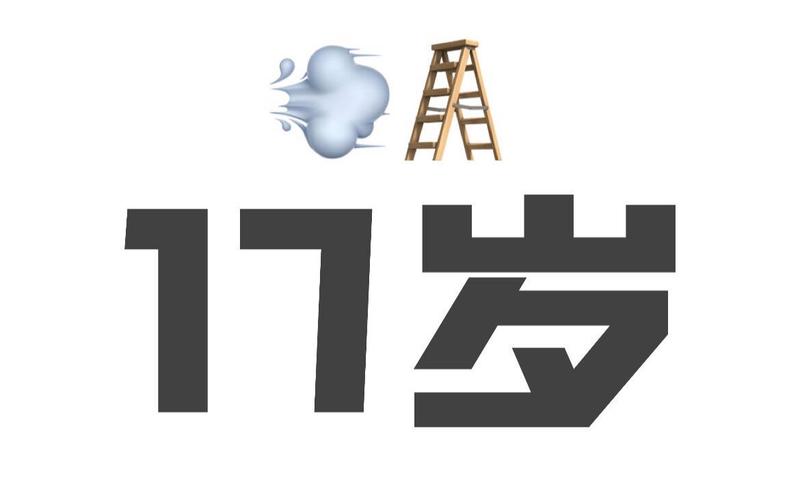 17岁免费版破解版