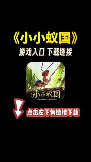 37版小小蚁国
