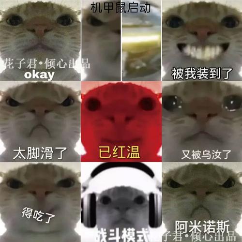 修猫地铁逃生