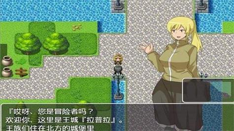 npc安卓汉化游戏