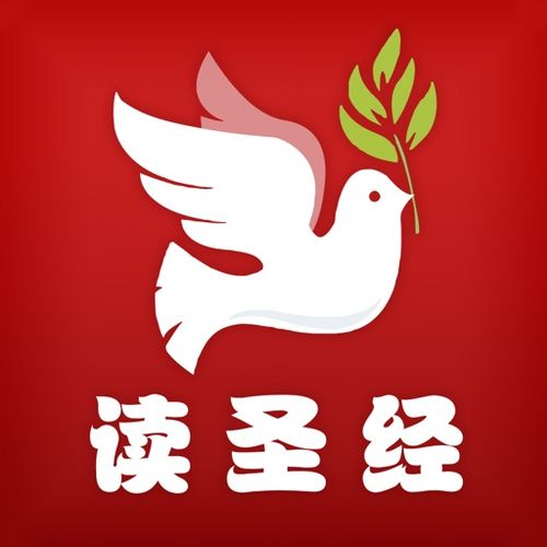 怎样读圣经