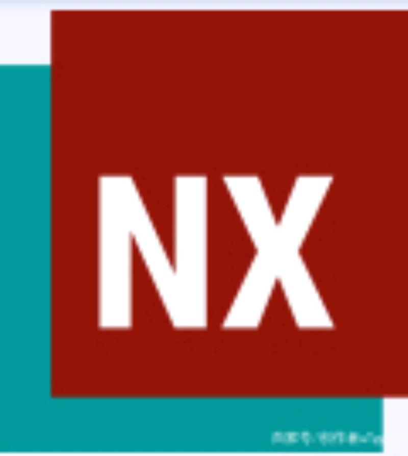 NX