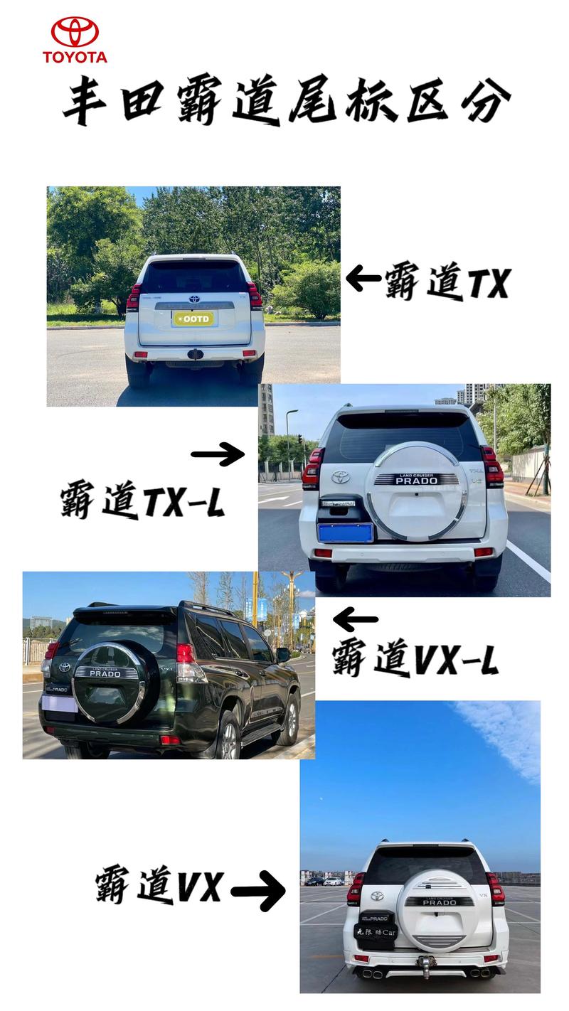 霸道越野视频大全