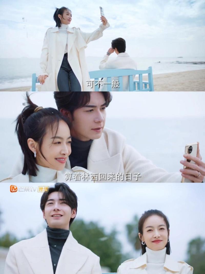 我们的翻译官大结局