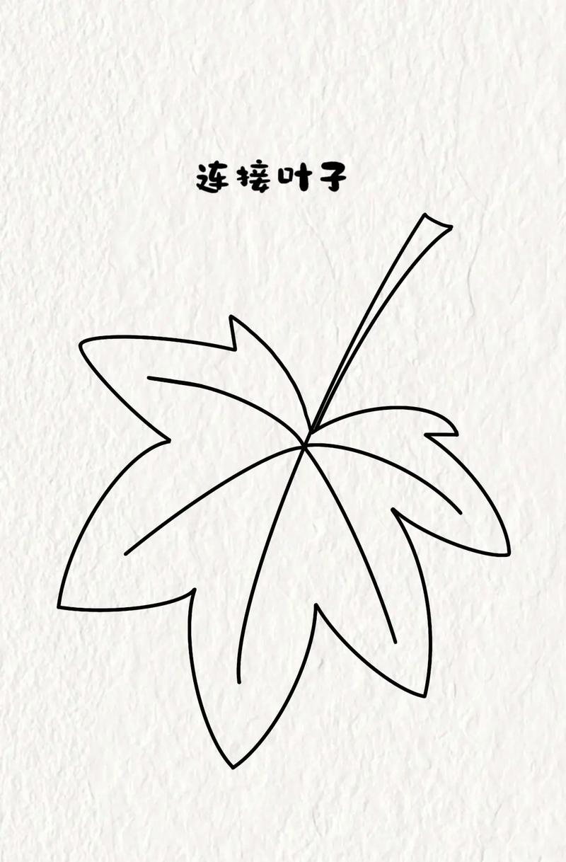 枫叶画法简笔画图片