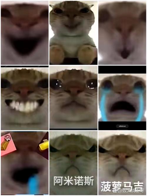 地铁逃生的鼠鼠动画缩略图