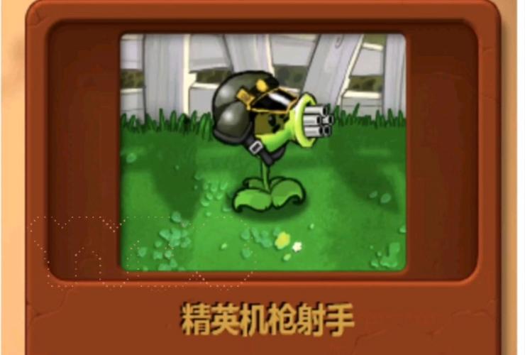 植物大战僵尸E版支线最强僵尸