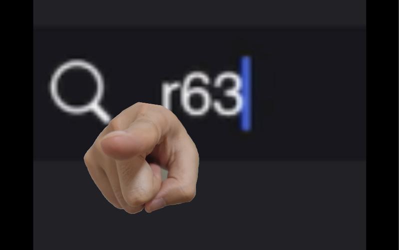 r63入口官网