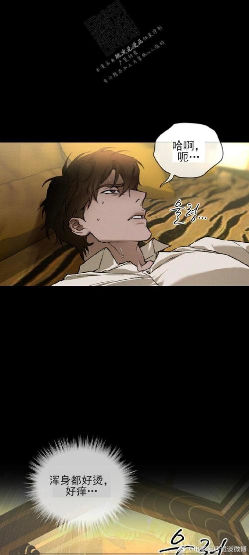 秘密之洞漫画免费观看下拉式