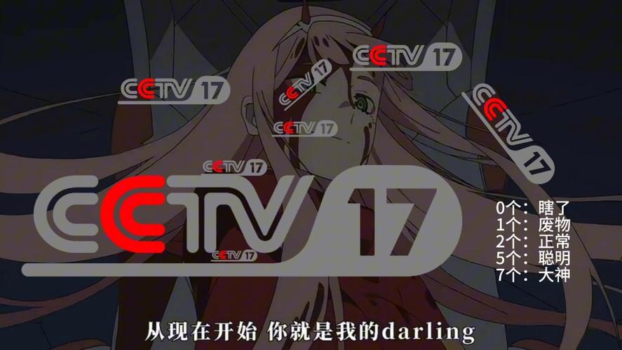 17c17·cv