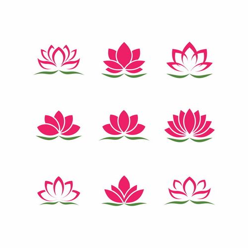 荷花直播