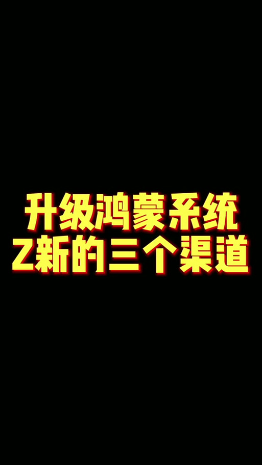 猪王补丁鸿蒙系统怎么安装