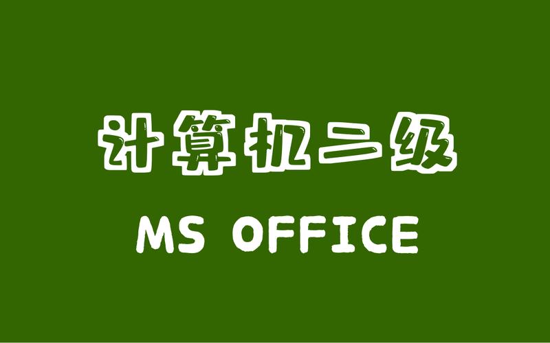 二级ms office是什么