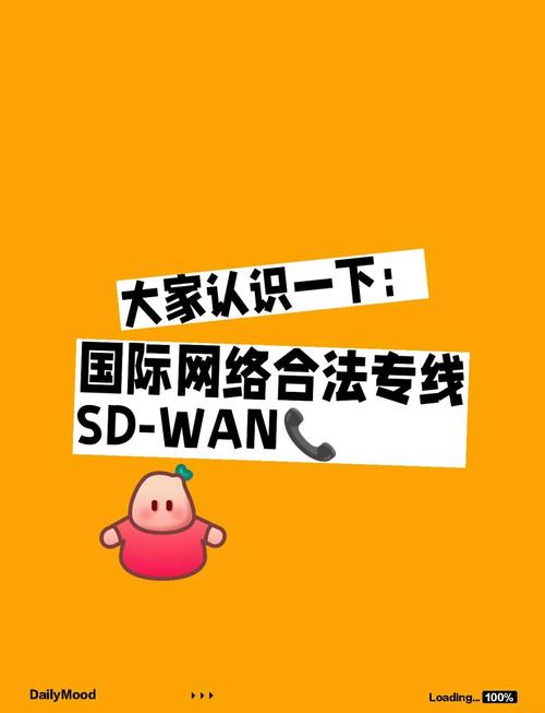 sdwan跨境组网合法吗