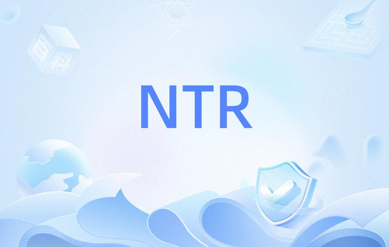 NTR是什么意思网络截图