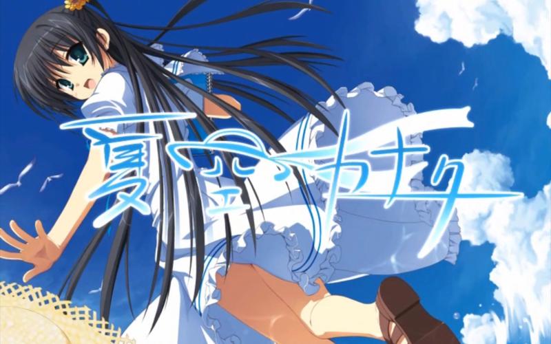 夏空彼方冷狐全cg解锁版
