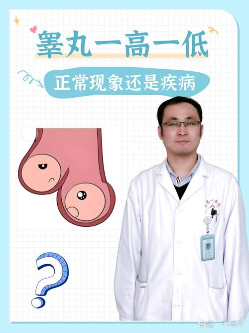 初二体检检查睾丸大小