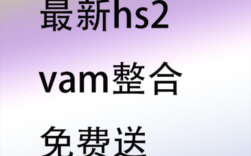 vam整合版