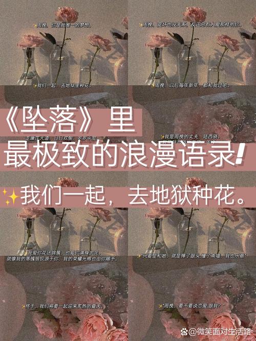 坠落小说经典台词