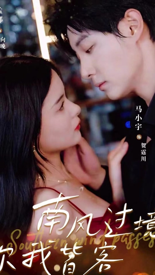 南风过境你我皆大结局视频