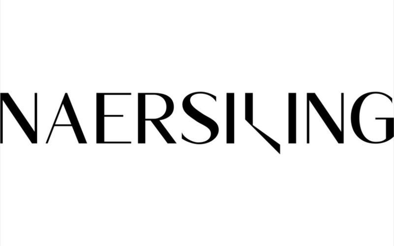 naersi什么档次