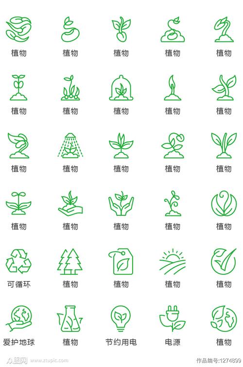 十个最值得升五阶的植物