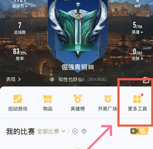 王者查战绩黑科技截图