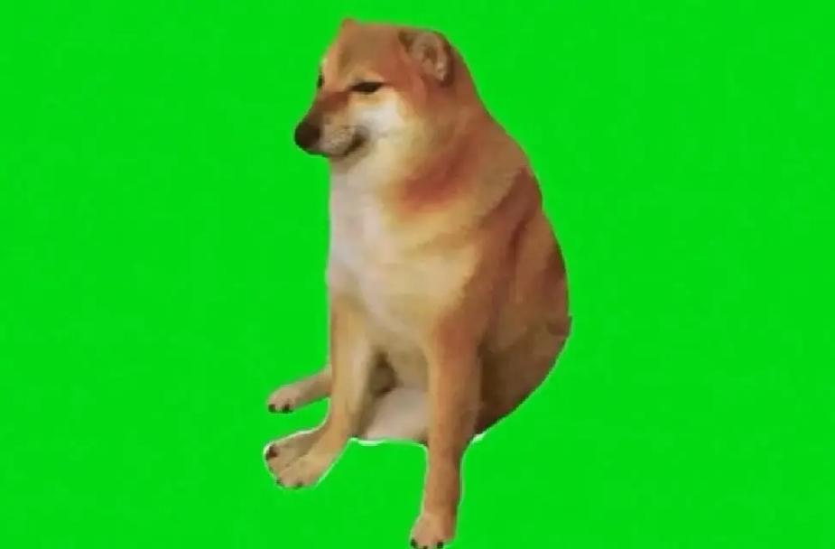 遛狗地铁逃生