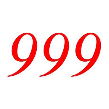wg999辅助网