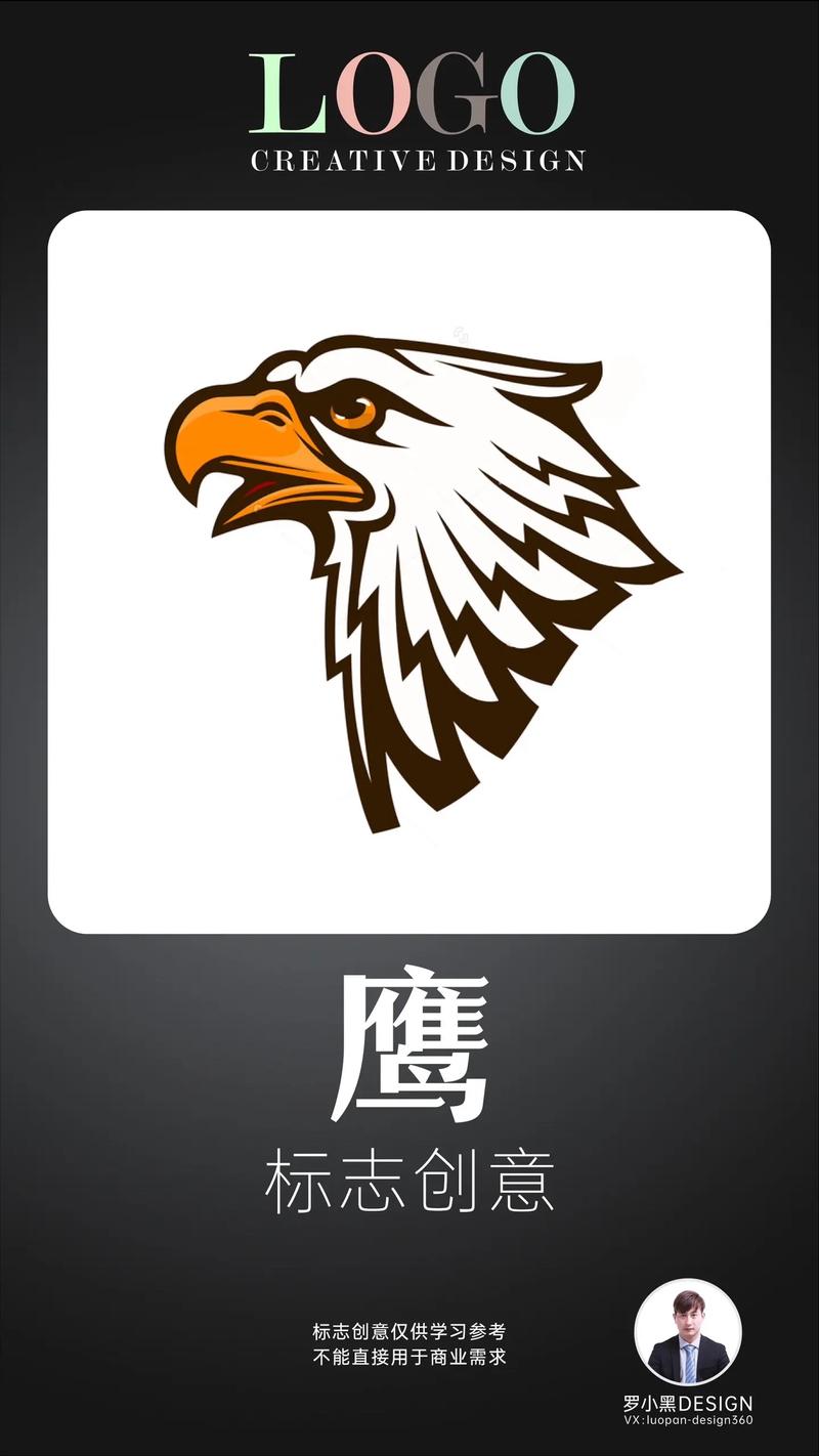 4条鹰妹控赚百万答案解析