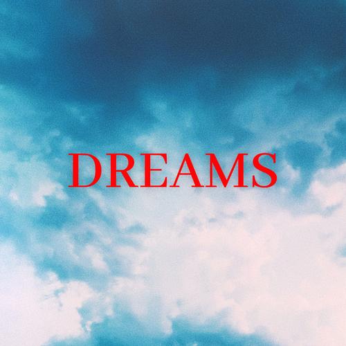 dreamsofdesire安装包
