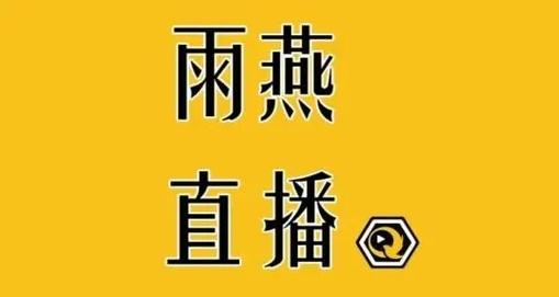 雨燕免费直播足球比赛